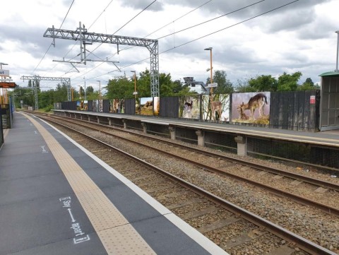 Dozens of murals to be installed at Cannock station under improvement scheme