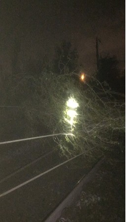 Major rail disruption between Walsall and Birmingham following tree fall